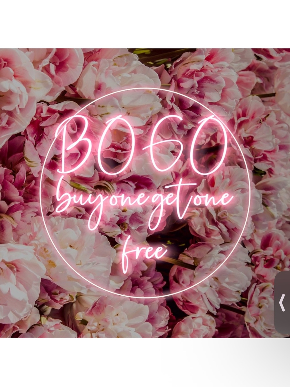 BOGO buy 1 get 1 free sale